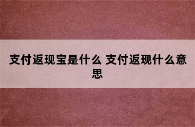 支付返现宝是什么 支付返现什么意思